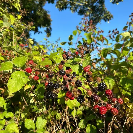 Casa de Férias Le Logis Courtelay By Melrose