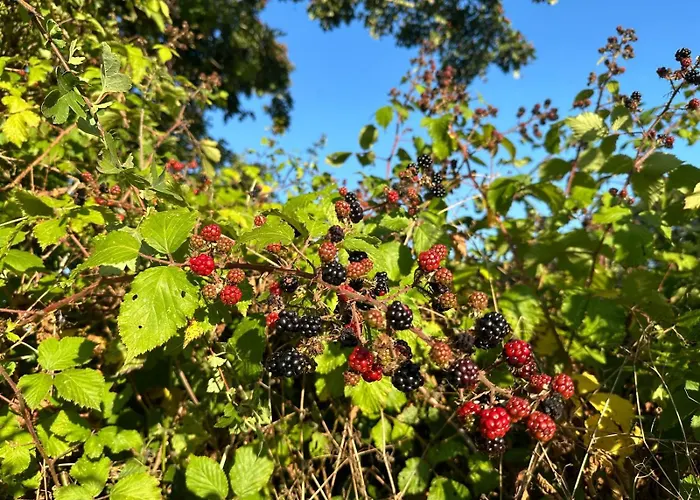 Casa de Férias Le Logis Courtelay By Melrose